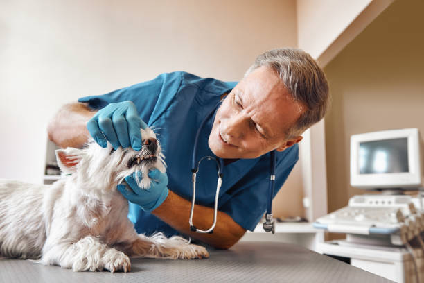 Best Emergency Wisdom Tooth Extraction in Shenandoah Farms, VA