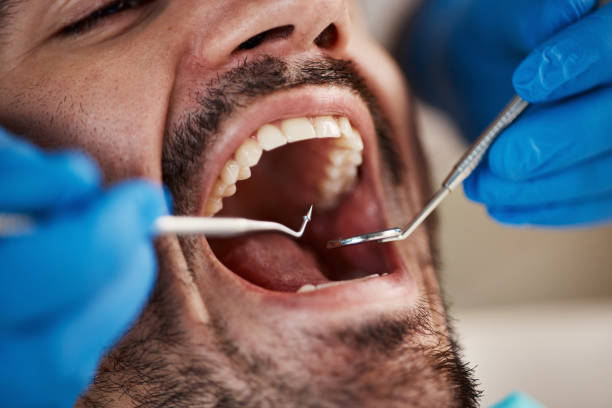 Best Emergency Pediatric Dental Care in Shenandoah Farms, VA